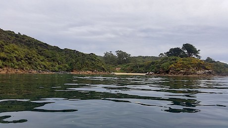 Harold’s Bay in the Halfmoon Bay Habitat Restoration Project Area.