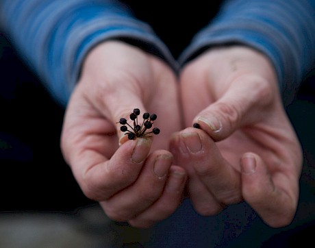 Seed is propagated at the Community Nursery. Photo by Keri Moyle