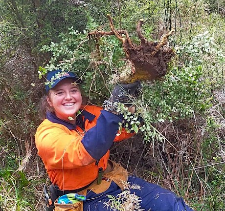 Field Team Member Ruby with a Darwin’s Barberry Plant. Around 2/3 of field time is spent on removing invasive weeds.